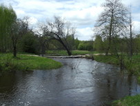 Река Вольга
