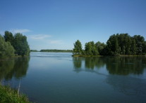 Река Бия