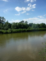 река Алей