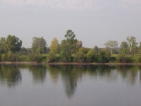 Река Чуна