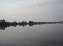 Река Чуна