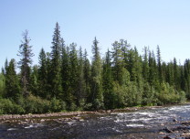 река Кунерма