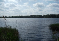 Озеро на реке Воронеж