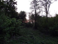 Спускался вечер, но деревья прятали закат
