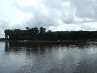 Река Пина впадает в Припять