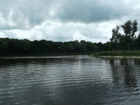 Река Пина впадает в Припять
