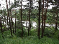 Река Неман и лес