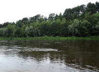 Река Неман