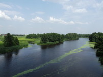 Река Мухавец