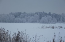 Озеро Бисерово и прекрасный снежный лес