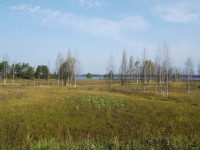 озеро Кафтино