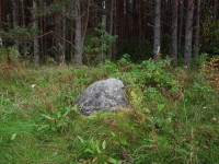 камень на лесной опушке