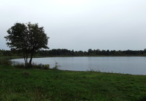Озеро Лебяжье