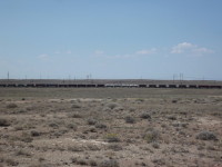 Поезд в пустыне