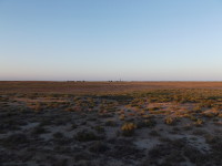 Вечерняя пустыня