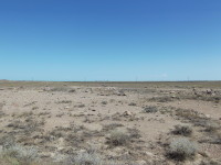 Пустыня Бетпак-Дала