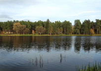 Кратовское озеро. Осень