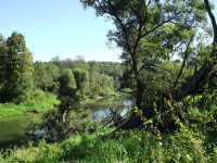 река Лужа