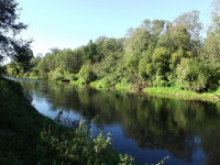 река Лужа