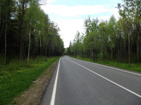 Тихое шоссе и красивый лес