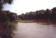 Река Омь