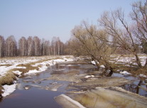 Речка Вольга
