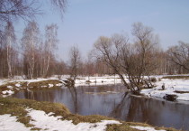 Речка Вольга