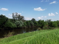 река Протва