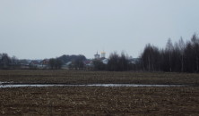 Барково, поле и церковь
