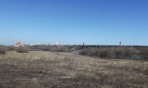 Лыткарино, Москва-река и луг