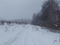 Дорога у снежного леса