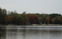 Озеро Белое. Разноцветные деревья на берегу