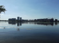 Москва-река (Перервинский плёс)