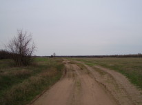 Степная дорога в Волгоградской области