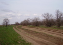 Степная дорога в Волгоградской области