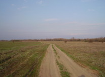 Утренний пейзаж в Волгоградской области