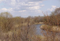 Река Иловля
