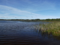 Озеро Ануфриевское