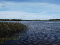 Озеро Ануфриевское