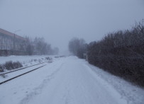 Снегопад в Быкове