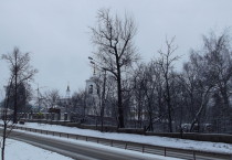 Красково. Владимирская церковь