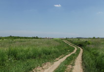 Зелёный луг, дорога и Жуковский